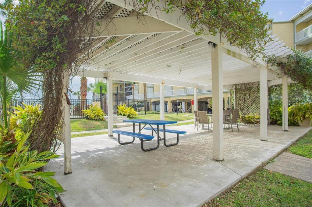 Beach Escape - Top Floor Ocean Views - Heated Pool - Seawall Blvd 加尔维斯敦 外观 照片