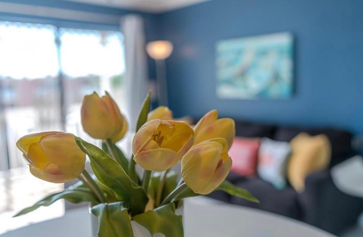 Beach Escape - Top Floor Ocean Views - Heated Pool - Seawall Blvd 加尔维斯敦 外观 照片